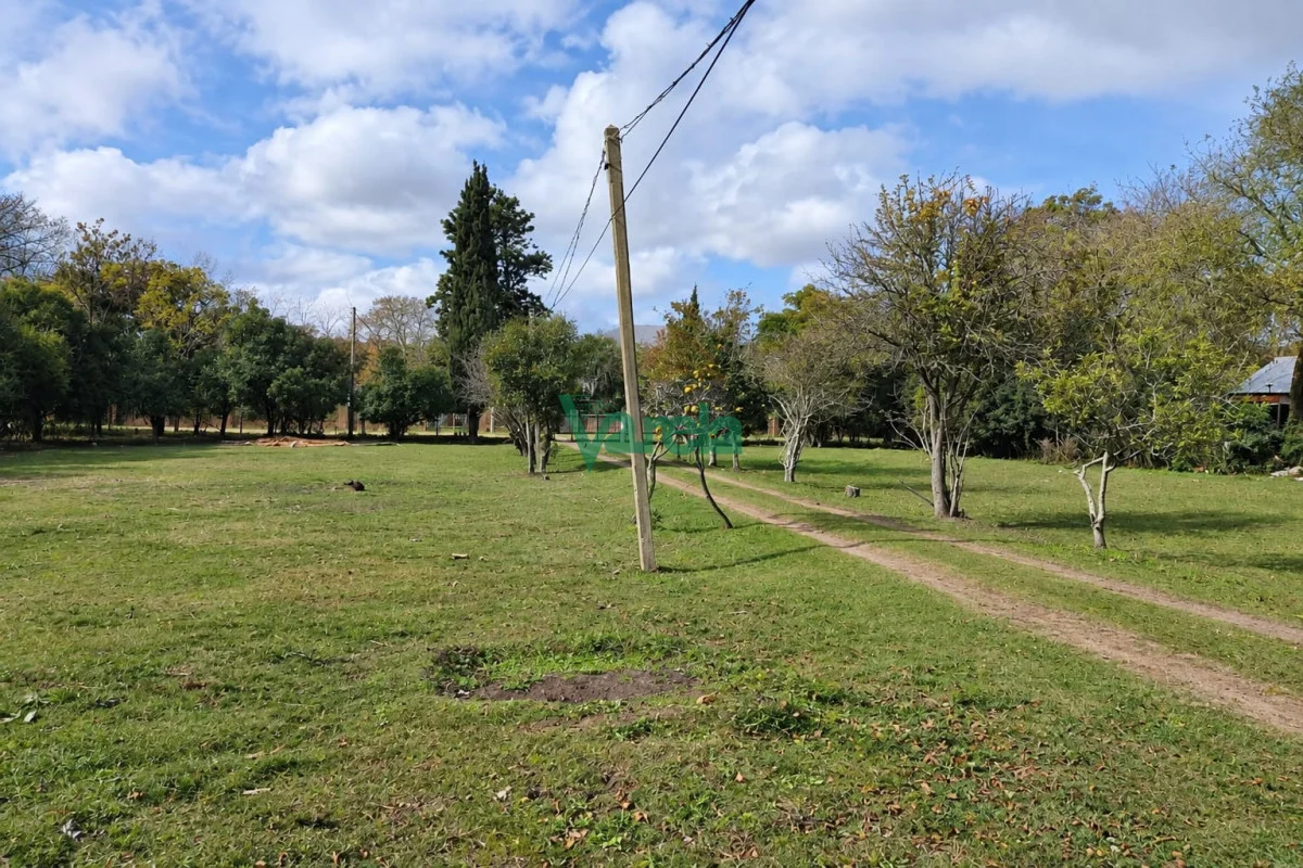 Casa en Suárez, propiedad 288845 -Imagen 4