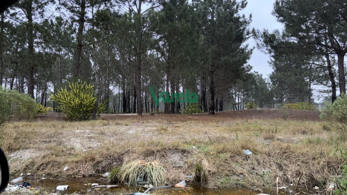 Terreno en Solymar, propiedad 203823 -Imagen 2