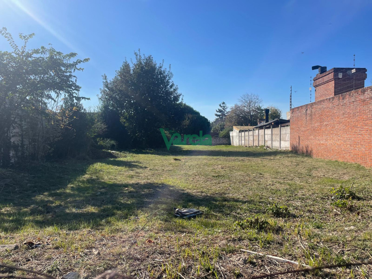 Terreno en Carrasco Norte, propiedad 203658 -Imagen 4