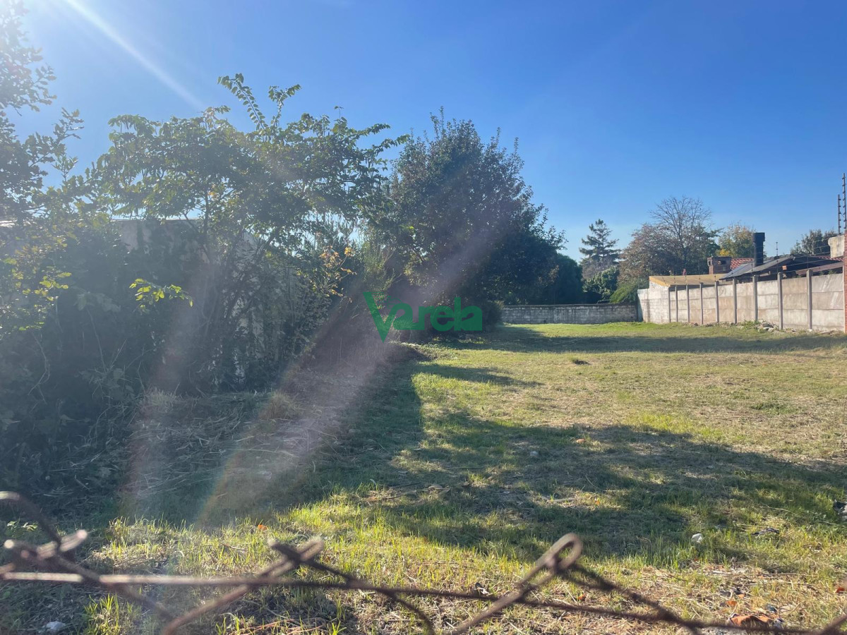 Terreno en Carrasco Norte, propiedad 203658 -Imagen 7