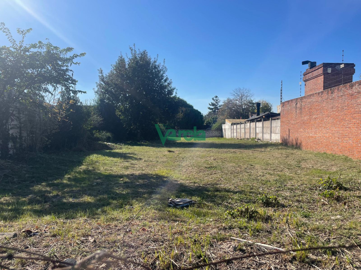 Terreno en Carrasco Norte, propiedad 203658 -Imagen 6