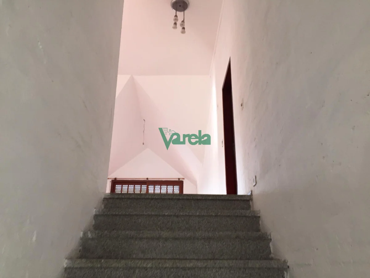 Casa en Punta Gorda, propiedad 203728 -Imagen 19