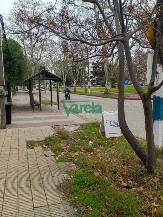 Terreno en Malvín, propiedad 288384 -Imagen 15