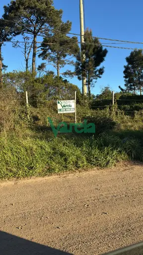 imagen  de la propiedad 203671