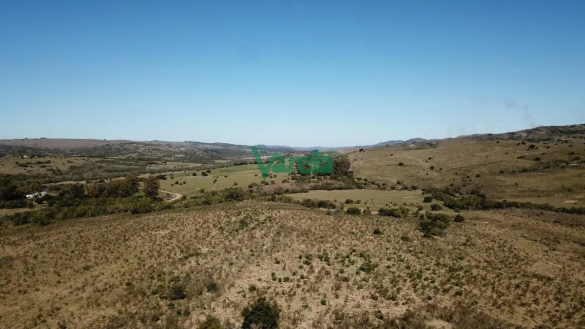 Chacra en San Carlos, propiedad 203855 -Imagen 1