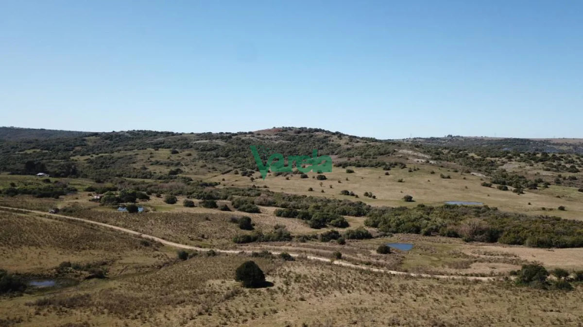 Chacra en San Carlos, propiedad 203855 -Imagen 3
