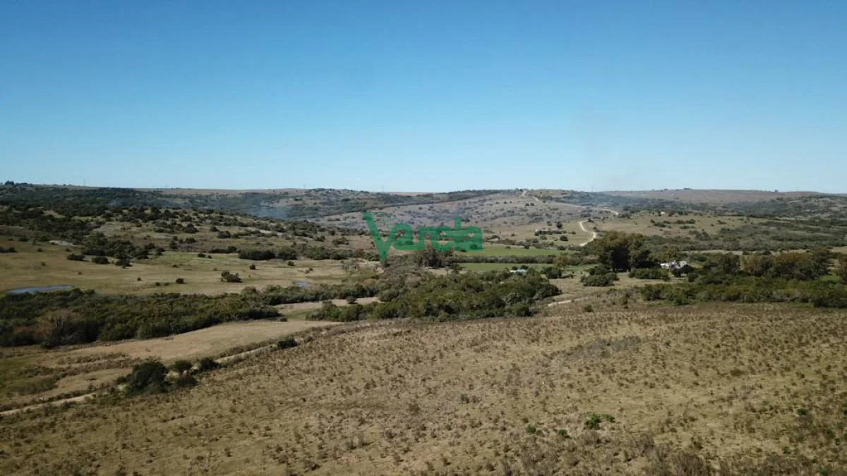 Chacra en San Carlos, propiedad 203855 -Imagen 4