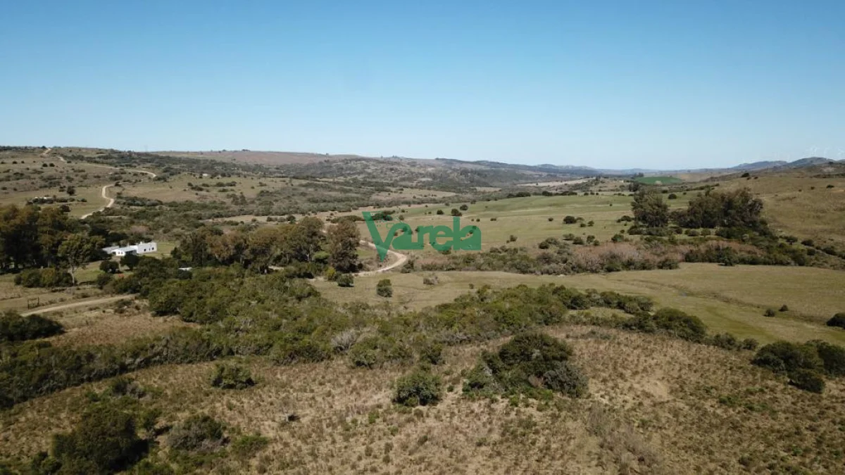 Chacra en San Carlos, propiedad 203855 -Imagen 5