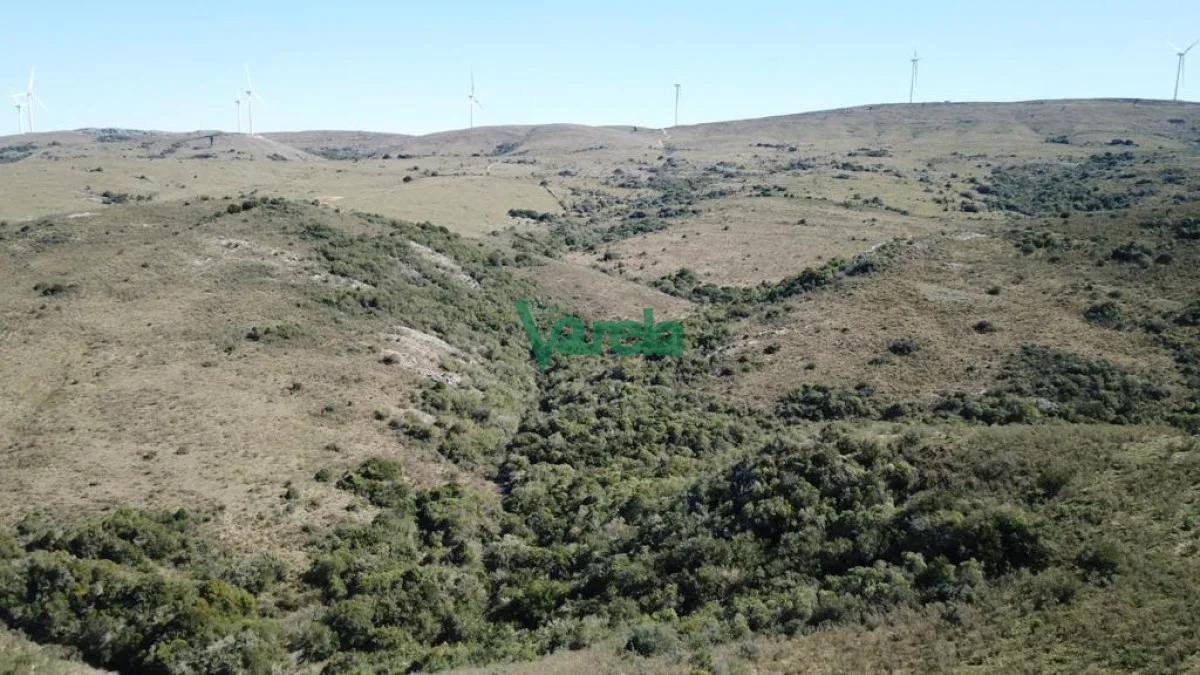 Chacra en San Carlos, propiedad 203855 -Imagen 6