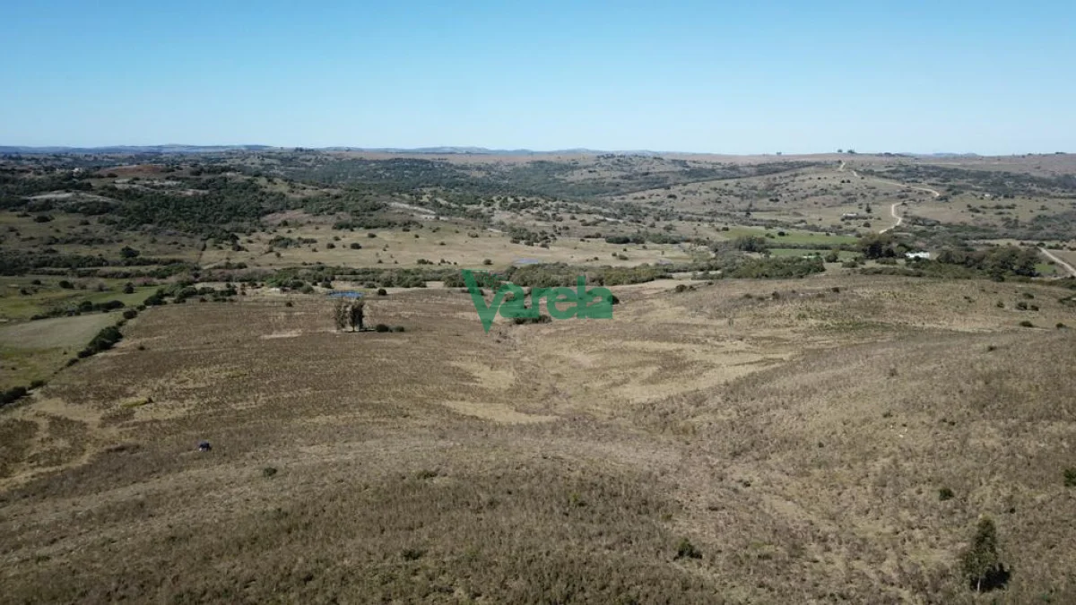 Chacra en San Carlos, propiedad 203855 -Imagen 7