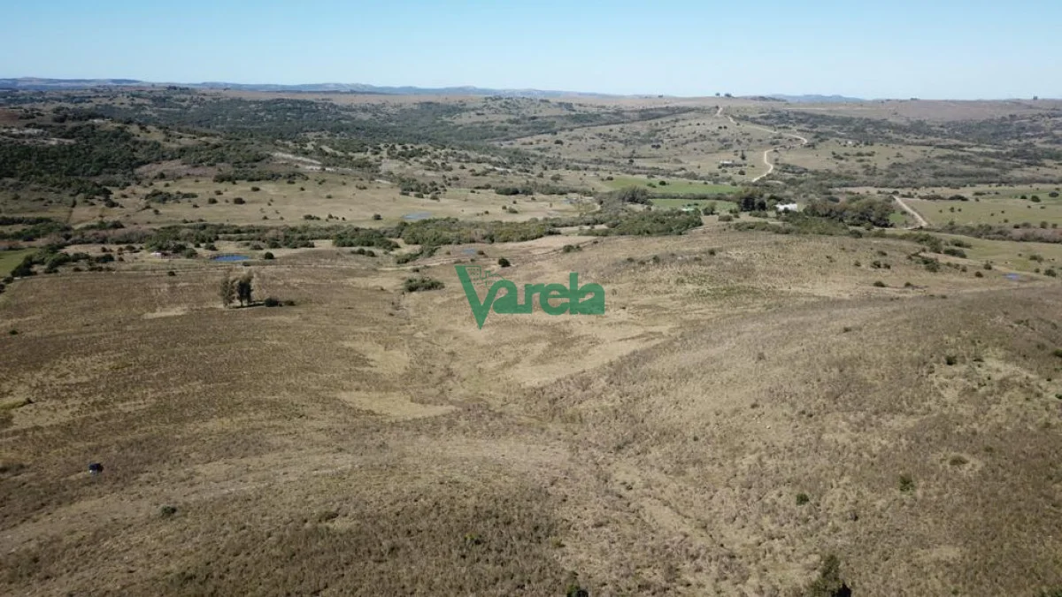 Chacra en San Carlos, propiedad 203855 -Imagen 8