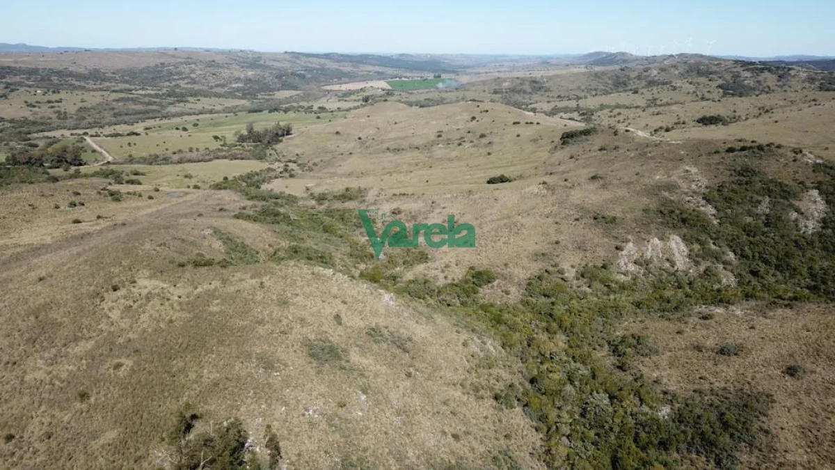Chacra en San Carlos, propiedad 203855 -Imagen 9