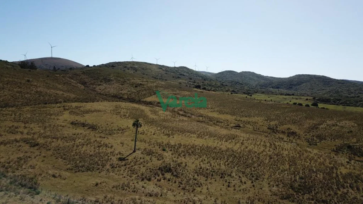 Chacra en San Carlos, propiedad 203855 -Imagen 10