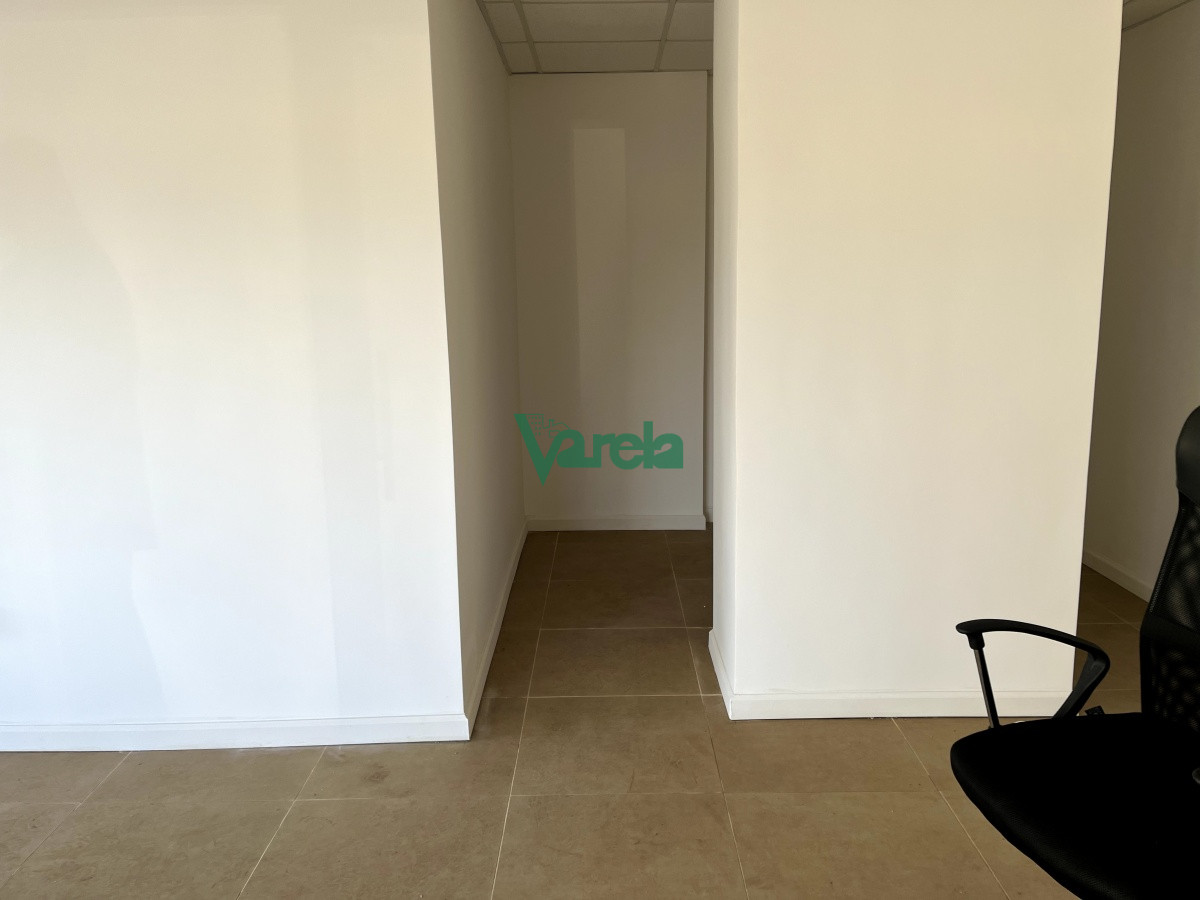 Local en Shangrila, propiedad 203819 -Imagen 4