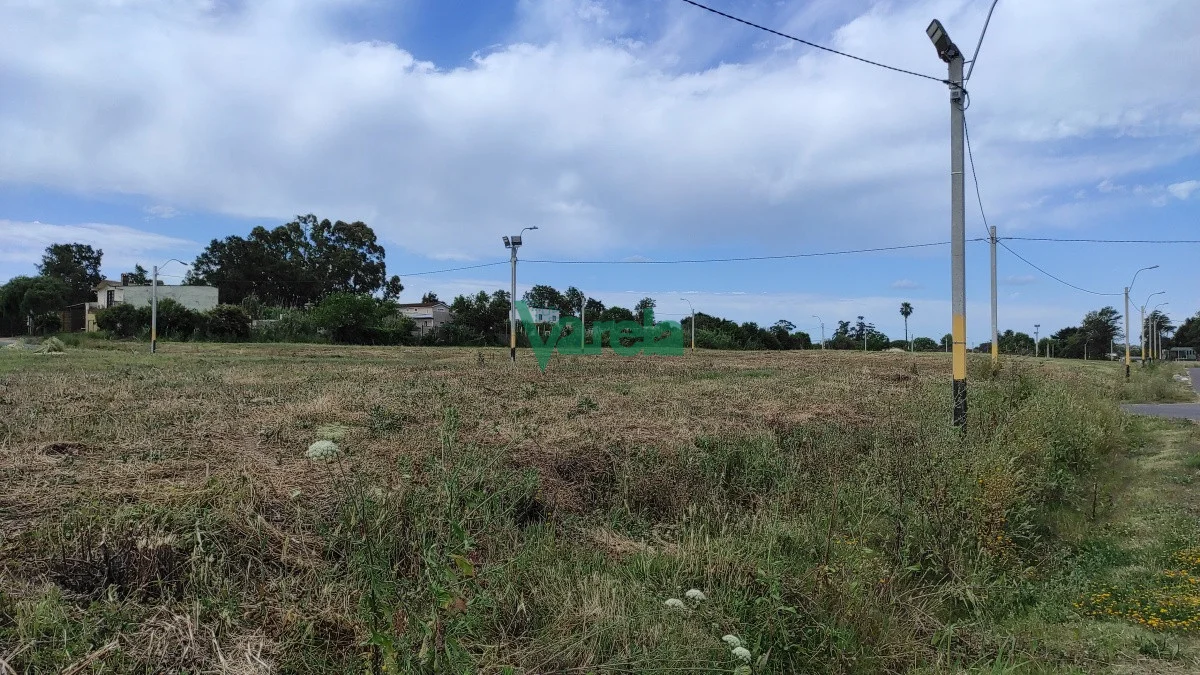 Terreno en Lagomar, propiedad 203820 -Imagen 2
