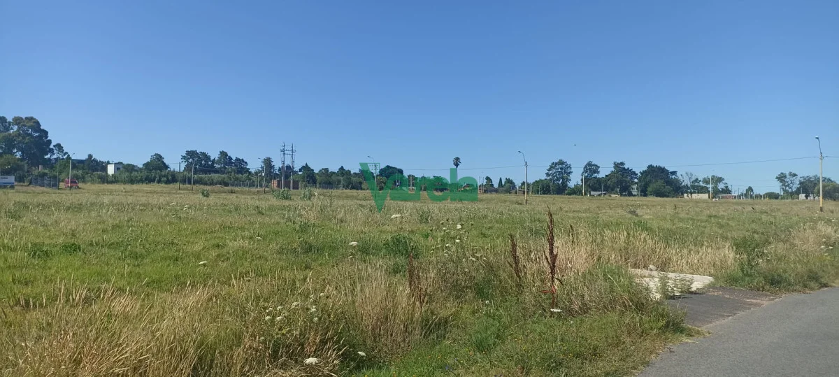 Terreno en Lagomar, propiedad 203820 -Imagen 18