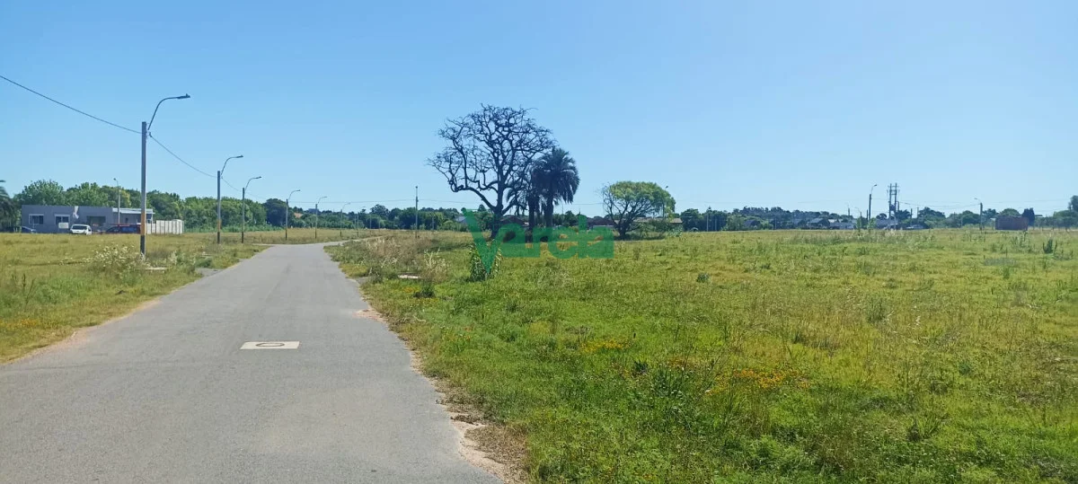 Terreno en Lagomar, propiedad 203820 -Imagen 10