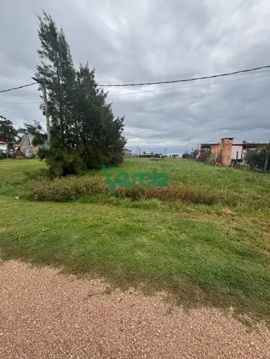 imagen  de la propiedad 263526