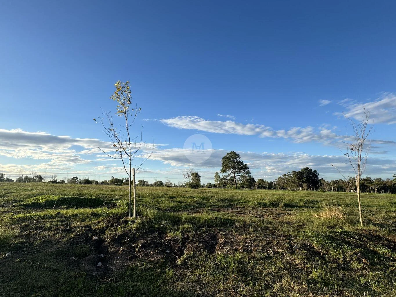 Terreno en Lomas de la Tahona, propiedad 226159 -Imagen 3
