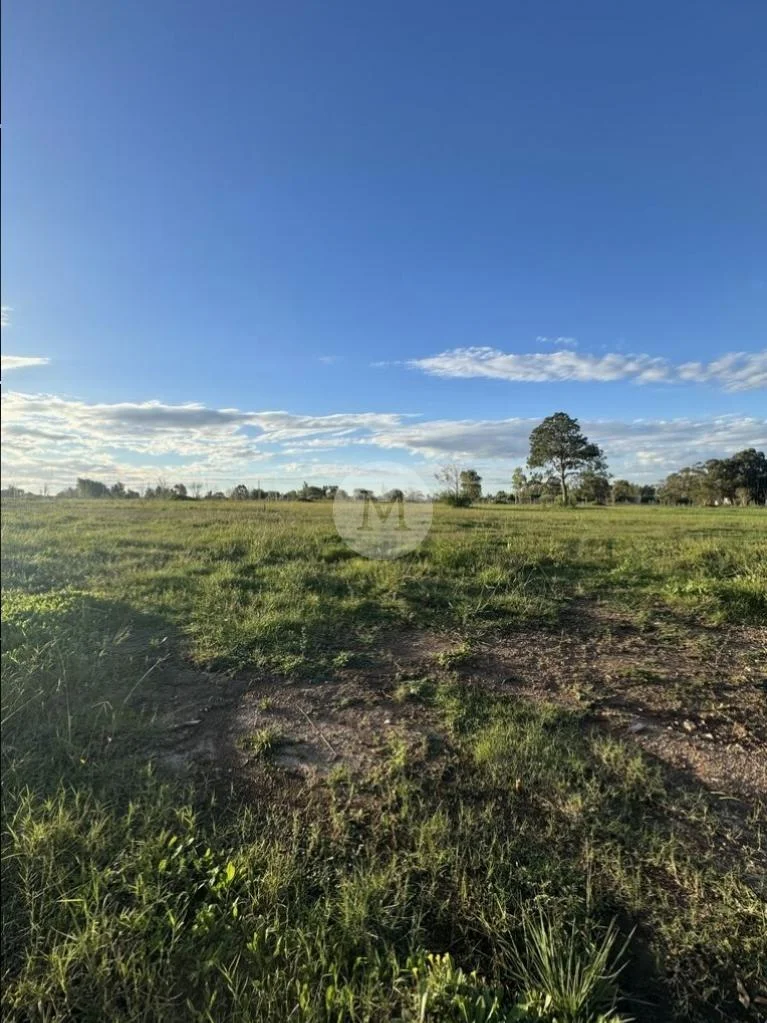 Terreno en Lomas de la Tahona, propiedad 226159 -Imagen 4