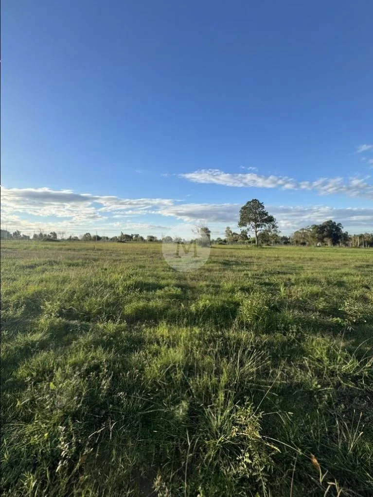 Terreno en Lomas de la Tahona, propiedad 226159 -Imagen 5