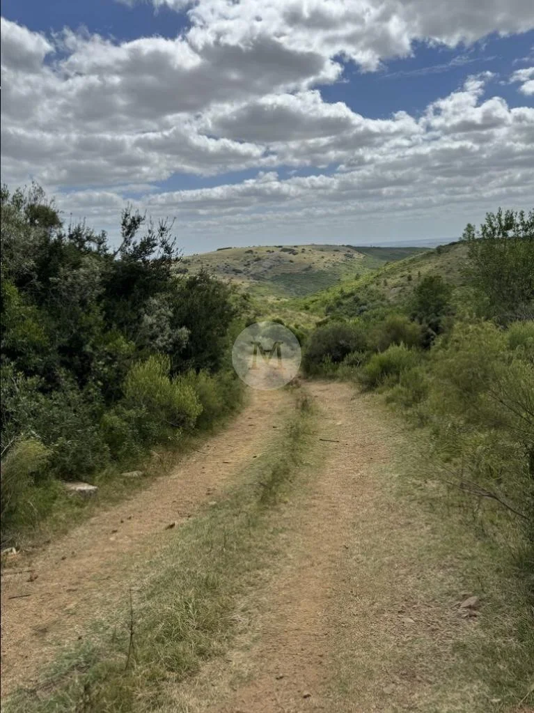 Chacra en Solis de Mataojo, propiedad 34936 -Imagen 7