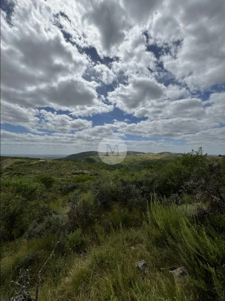Chacra en Solis de Mataojo, propiedad 34936 -Imagen 5