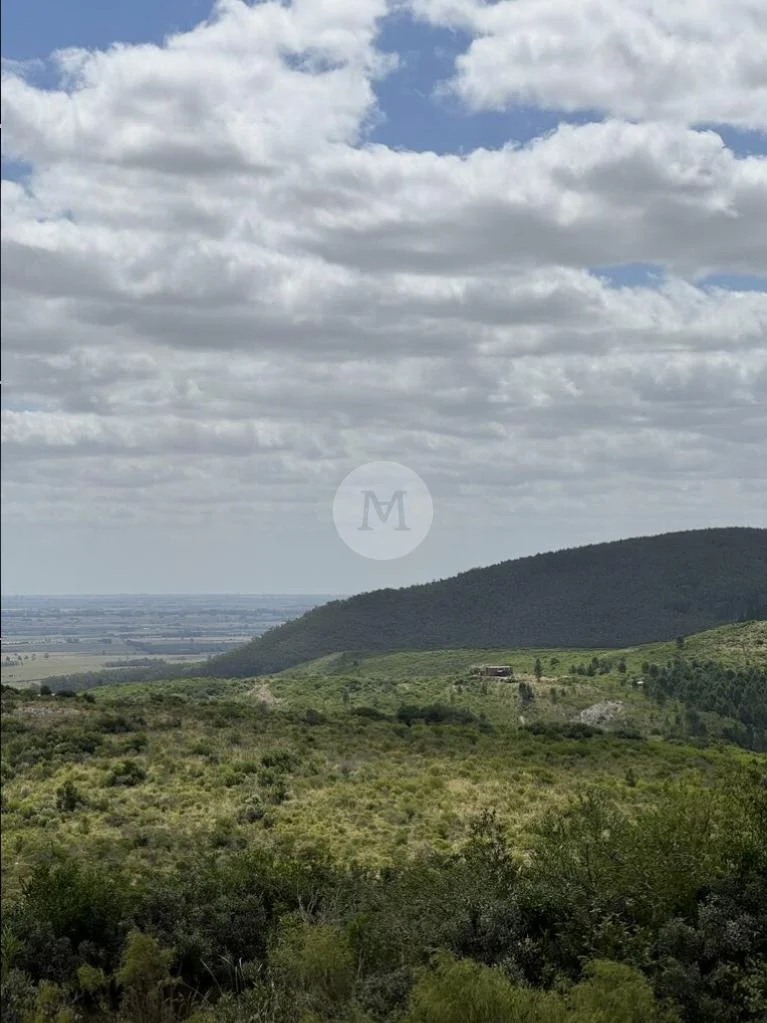 Chacra en Solis de Mataojo, propiedad 34936 -Imagen 6