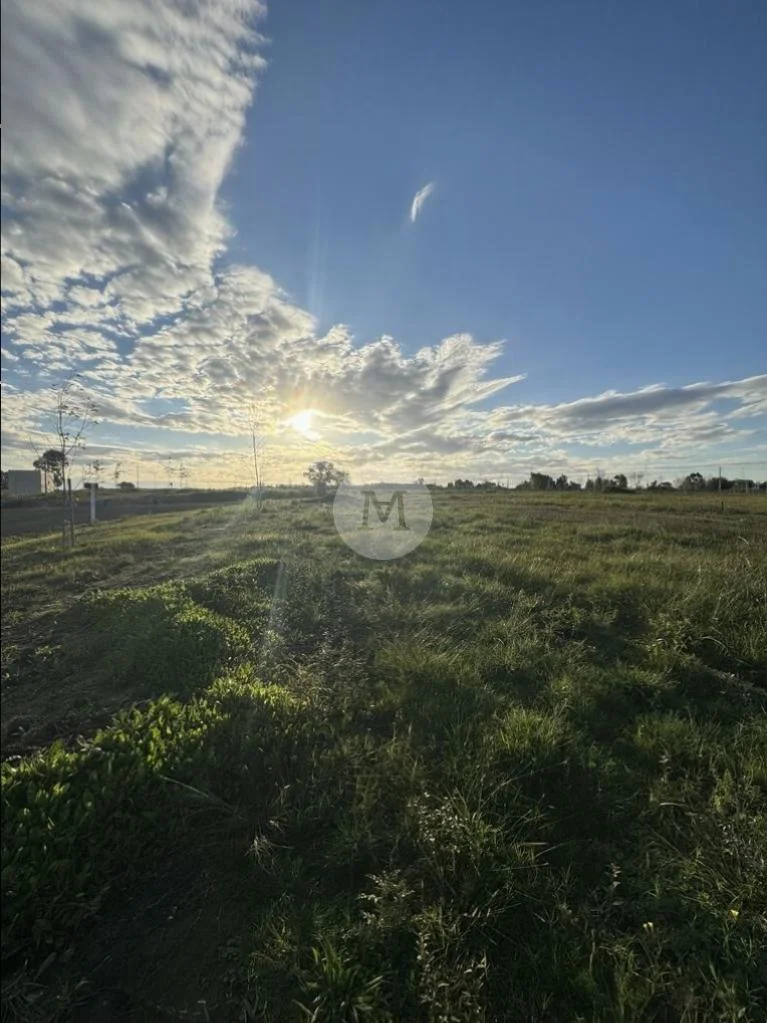 Terreno en Lomas de la Tahona, propiedad 91420 -Imagen 2