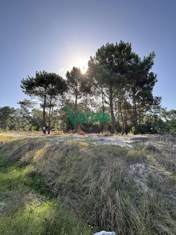 Terreno en El Pinar, propiedad 203705 -Imagen 1