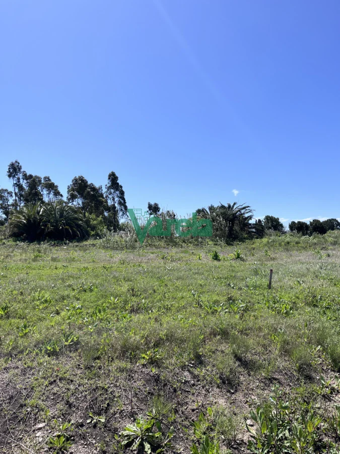 Terreno en El Pinar, propiedad 203705 -Imagen 11