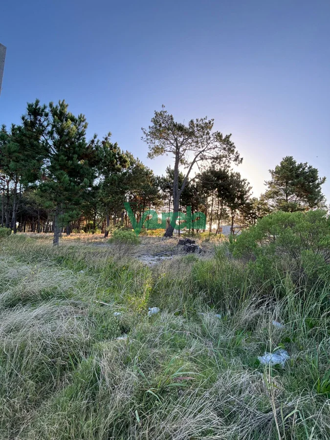 Terreno en El Pinar, propiedad 203705 -Imagen 4