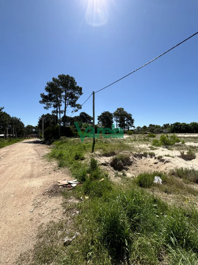 Terreno en El Pinar, propiedad 203705 -Imagen 6