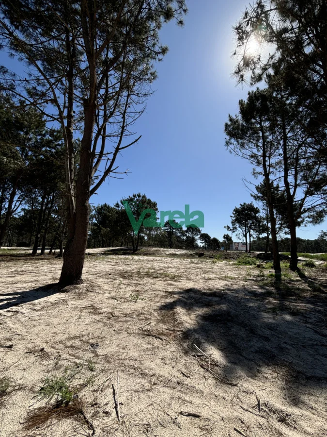 Terreno en El Pinar, propiedad 203705 -Imagen 7