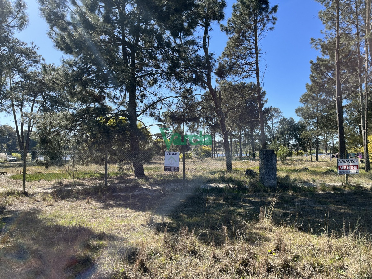 Terreno en El Pinar, propiedad 203809 -Imagen 2