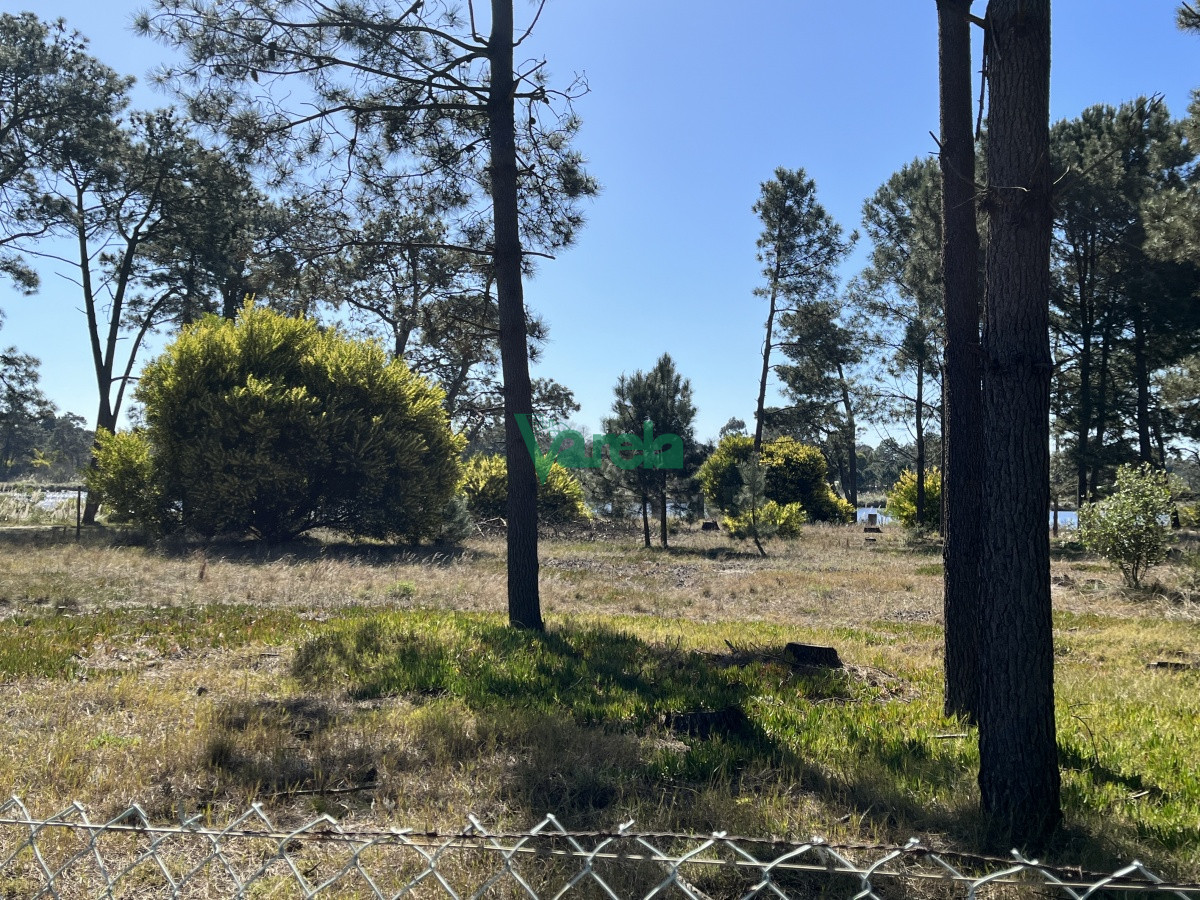 Terreno en El Pinar, propiedad 203809 -Imagen 6