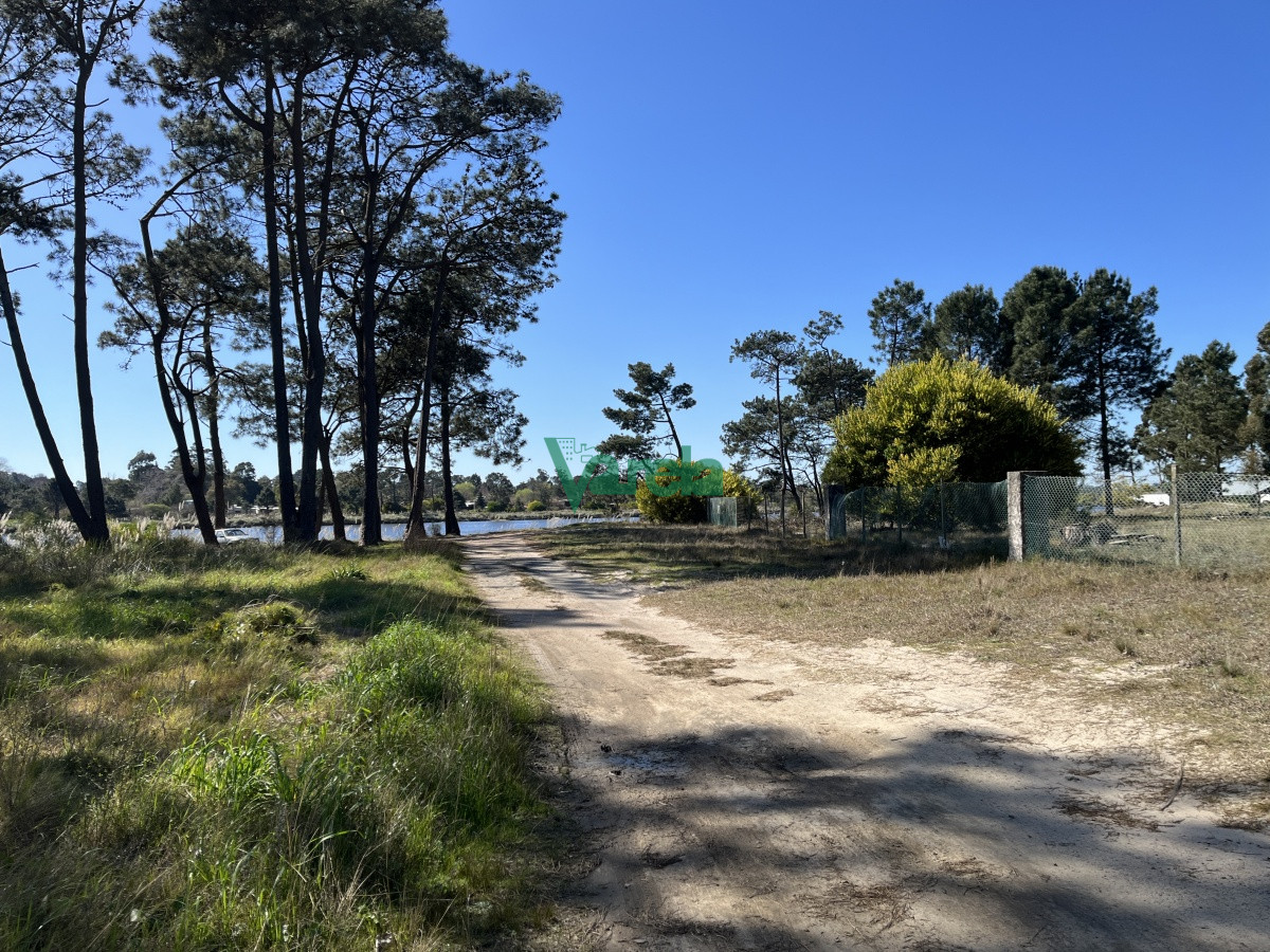 Terreno en El Pinar, propiedad 203809 -Imagen 7