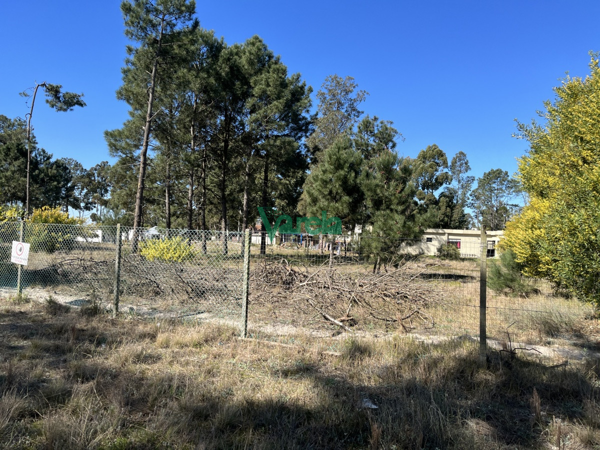 Terreno en El Pinar, propiedad 203809 -Imagen 9