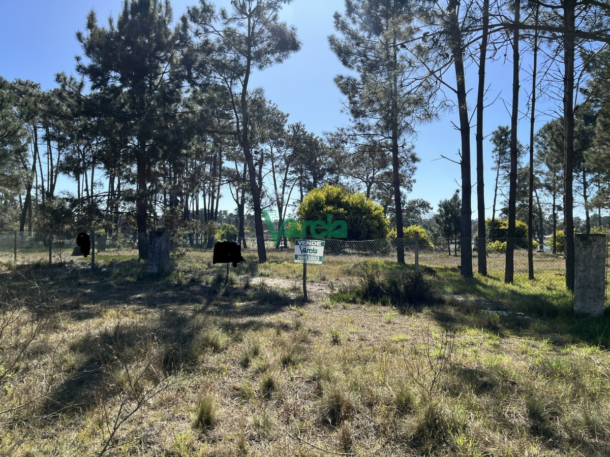 Terreno en El Pinar, propiedad 203809 -Imagen 10
