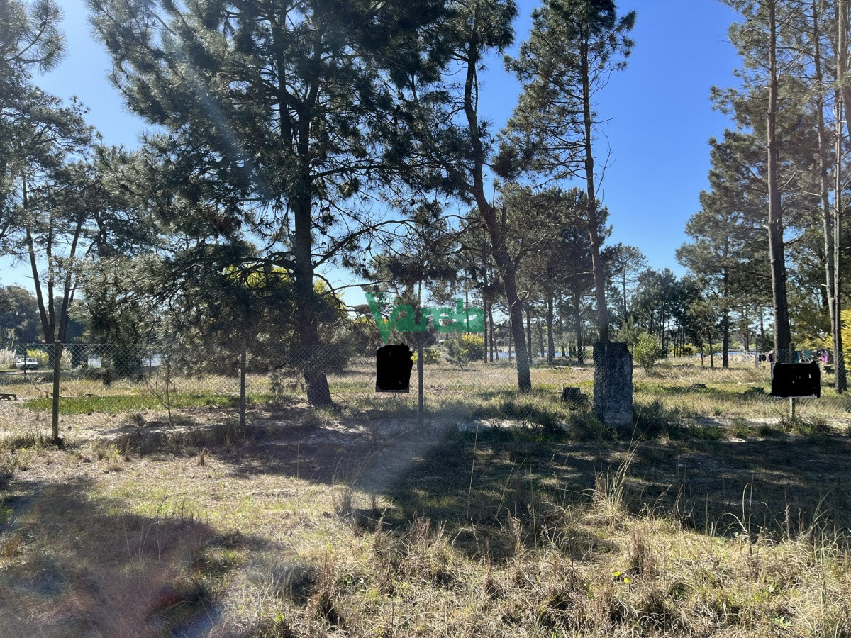 Terreno en El Pinar, propiedad 203809 -Imagen 11