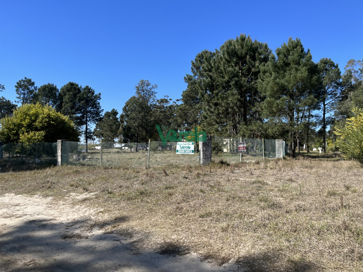 Terreno en El Pinar, propiedad 203809 -Imagen 12