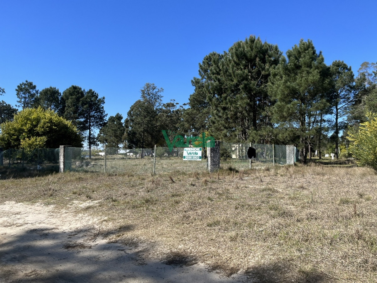 Terreno en El Pinar, propiedad 203809 -Imagen 13