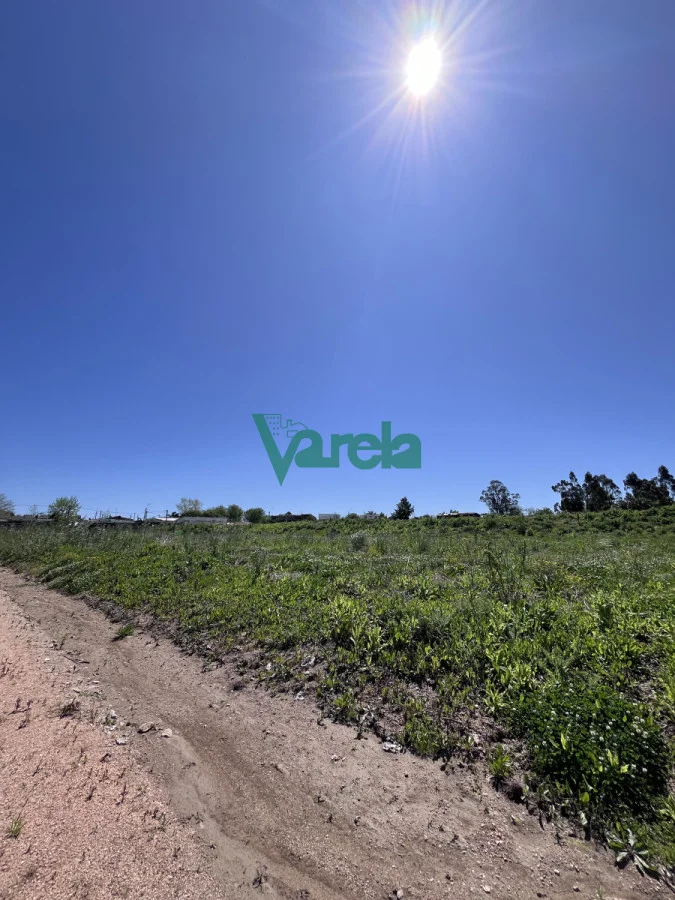 Terreno en El Pinar, propiedad 216319 -Imagen 1