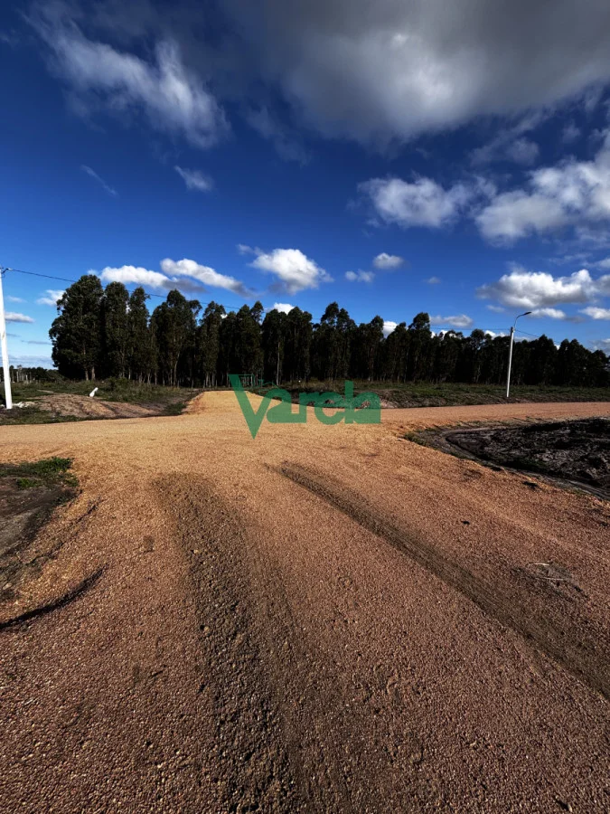 Terreno en El Pinar, propiedad 216319 -Imagen 2