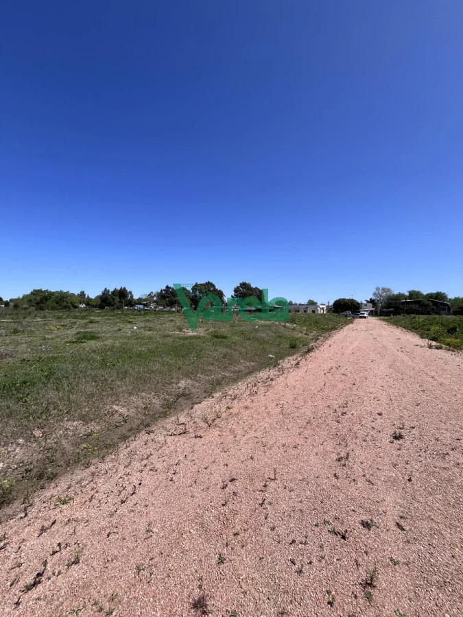 Terreno en El Pinar, propiedad 216319 -Imagen 3