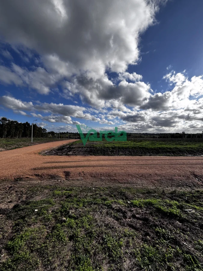 Terreno en El Pinar, propiedad 216319 -Imagen 4