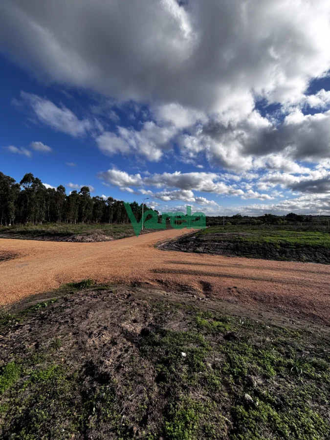 Terreno en El Pinar, propiedad 216319 -Imagen 5