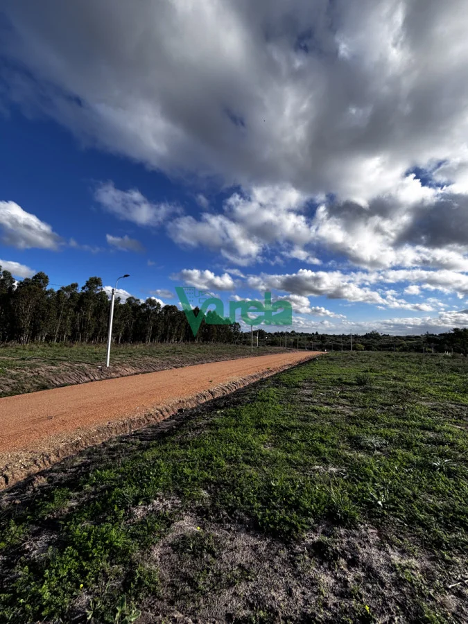 Terreno en El Pinar, propiedad 216319 -Imagen 7
