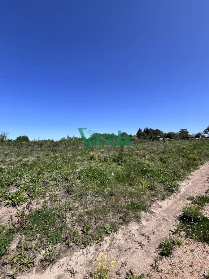 Terreno en El Pinar, propiedad 216319 -Imagen 9