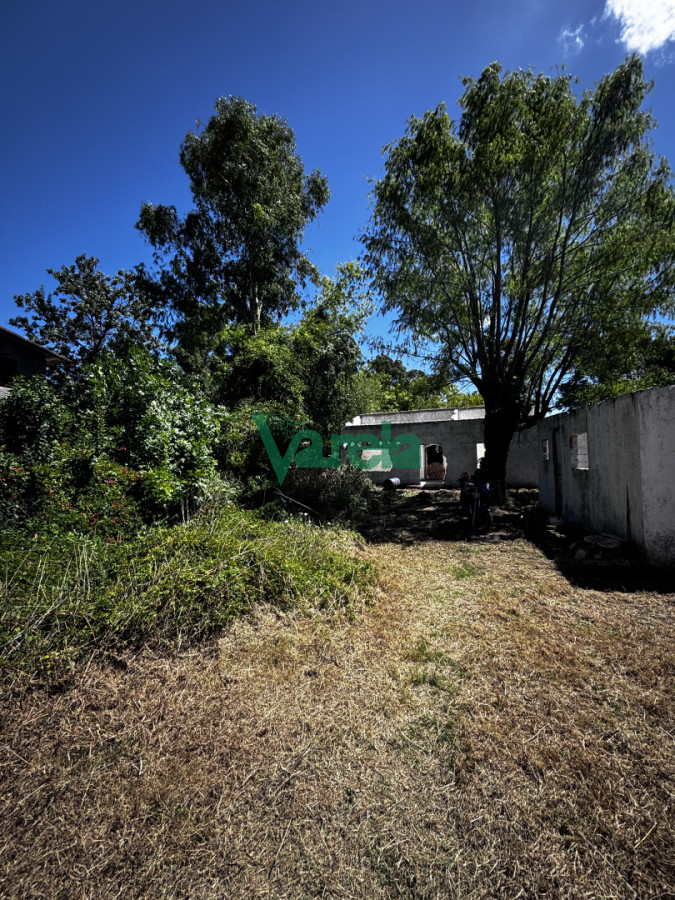 Terreno en El Pinar, propiedad 249435 -Imagen 1